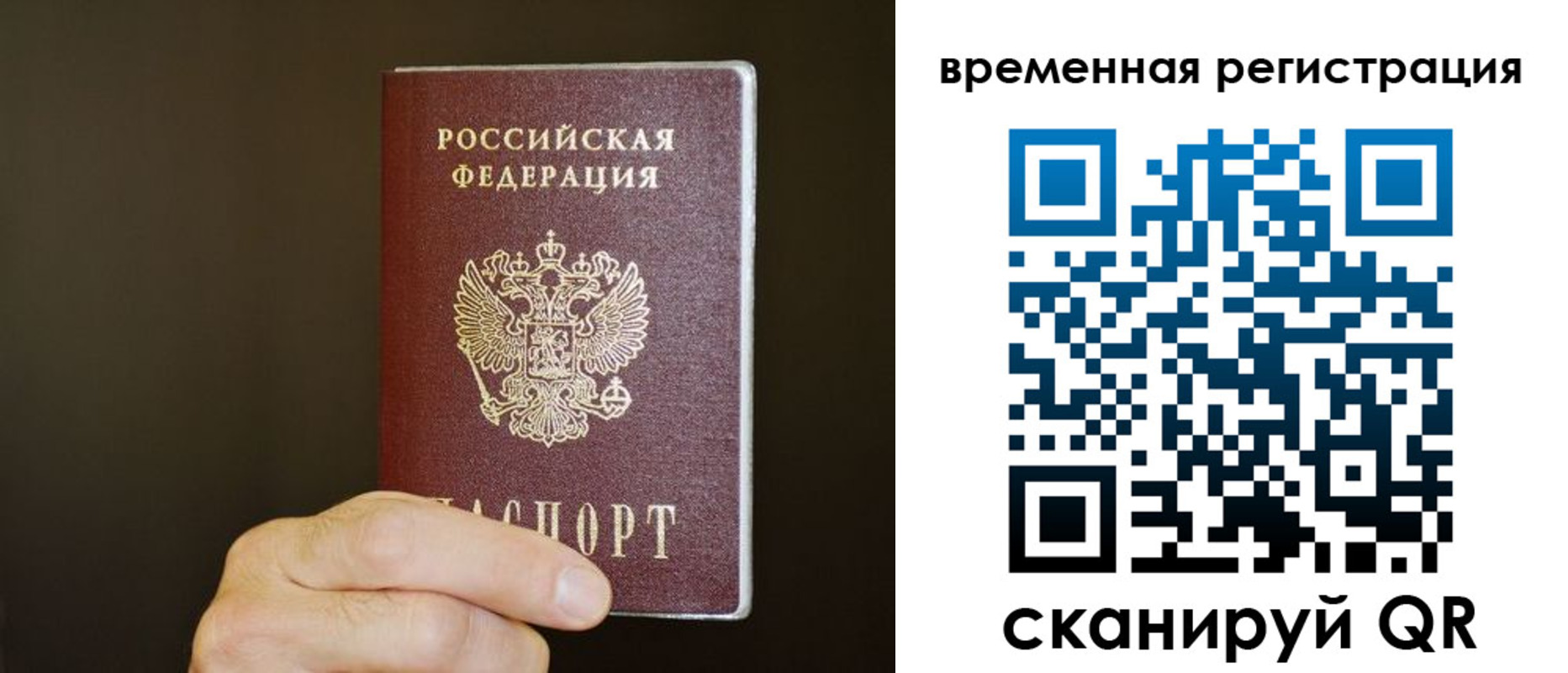 прописка гарантия в Краснокаменске